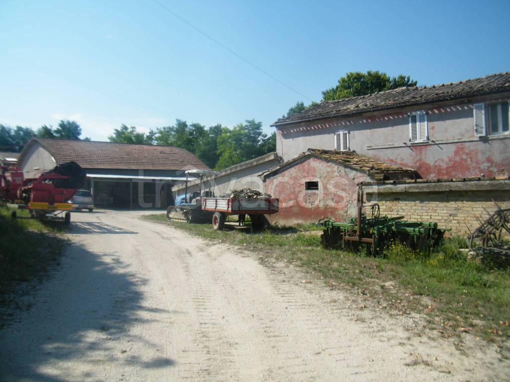 immagine annuncio 8 di 12