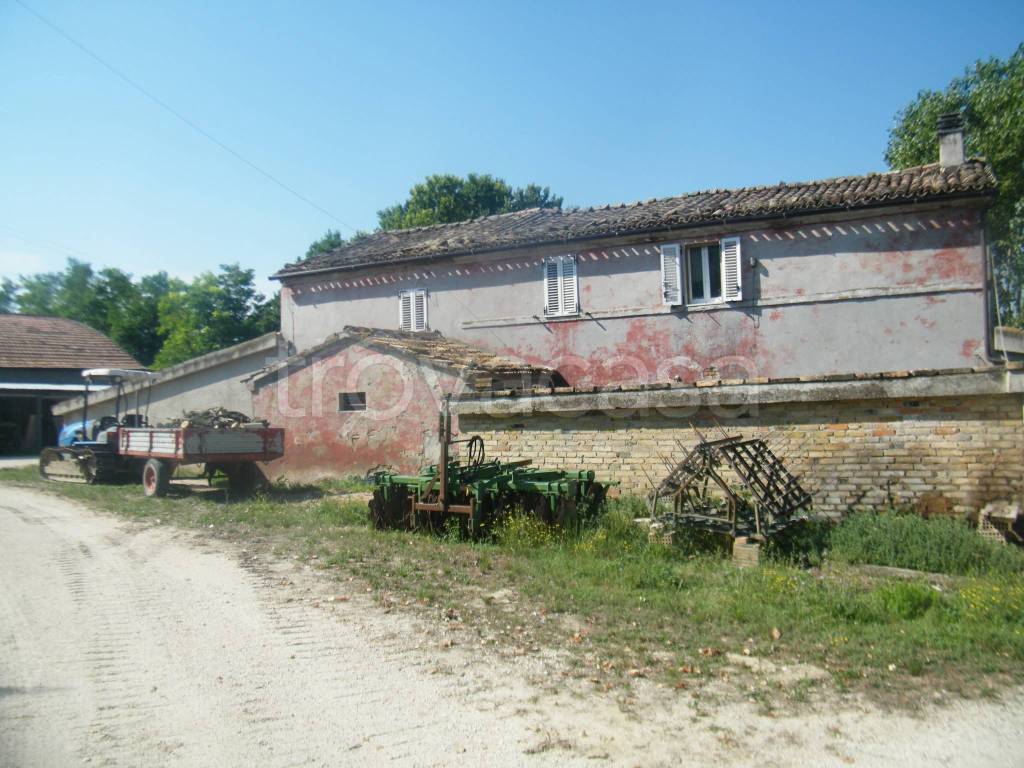 immagine annuncio 9 di 12