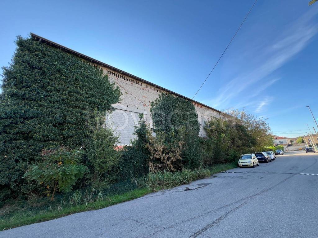 immagine annuncio 1 di 9