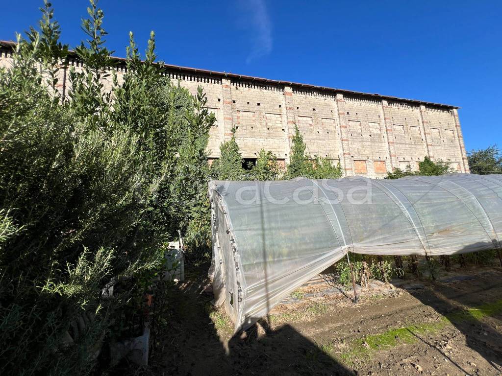 immagine annuncio 3 di 9