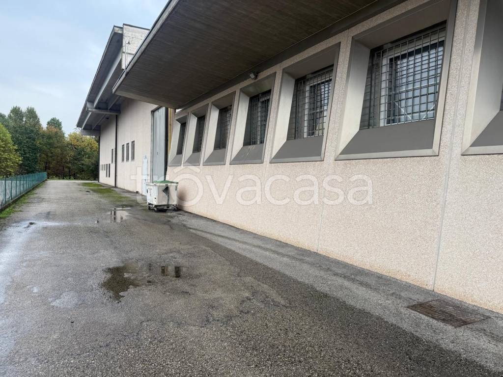 immagine annuncio 2 di 7