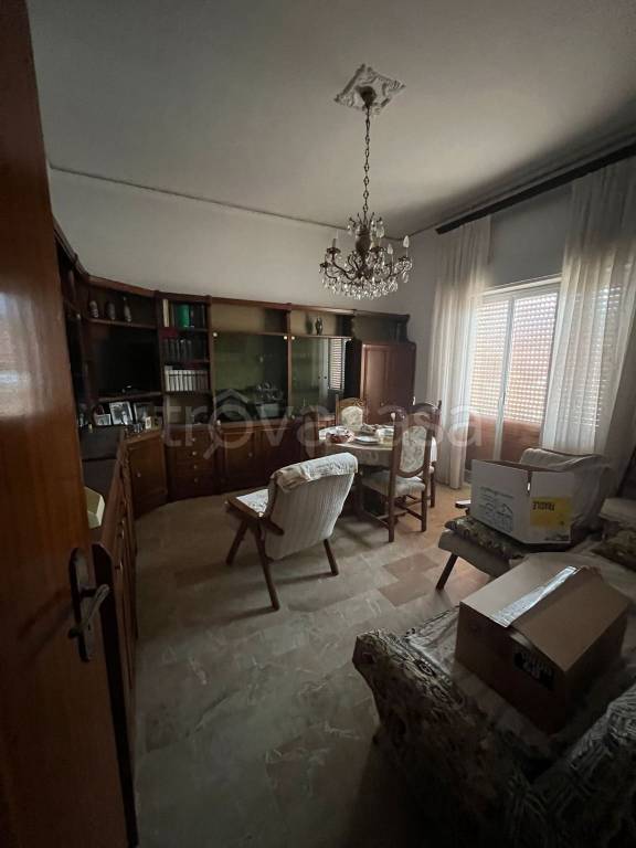 immagine annuncio 8 di 14