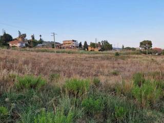 Terreno agricolo in vendita a sellia marina 