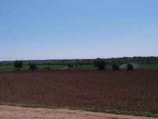 Terreno agricolo in vendita a siracusa strada laganelli