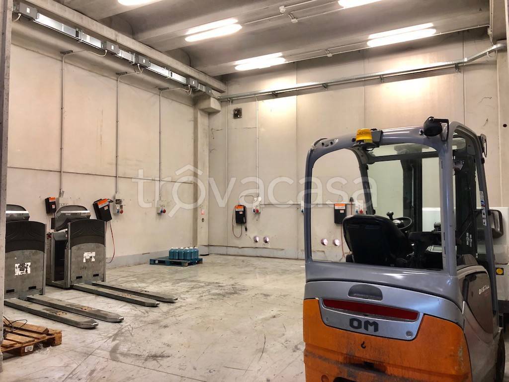 immagine annuncio 5 di 6