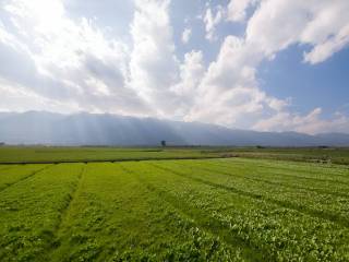 Terreno agricolo in vendita a cassago brianza via ugo foscolo