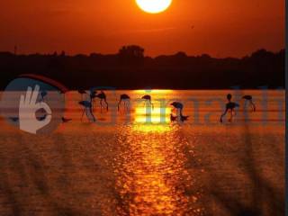 Appartamento in vendita a cervia 