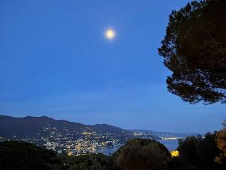 Appartamento in in vendita da privato a rapallo via privata del poggetto, 9