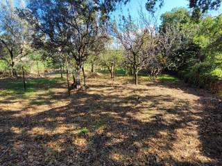 Terreno residenziale in vendita a catanzaro via lenza