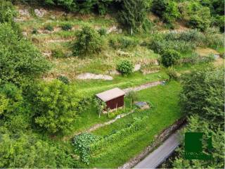 Terreno agricolo in vendita a telve di sopra via castel s.pietro