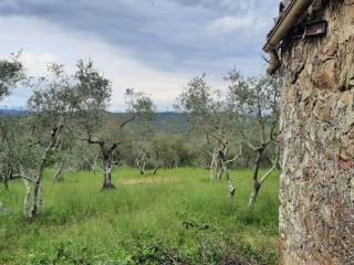 Terreno agricolo in vendita a civitella paganico 