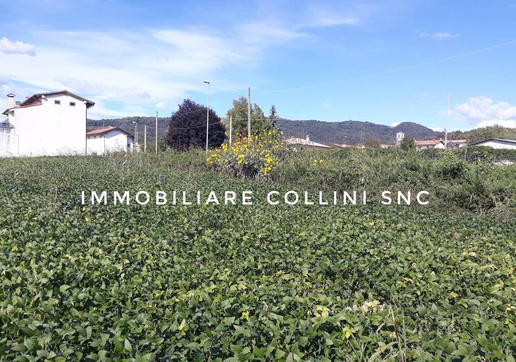 immagine annuncio 3 di 7
