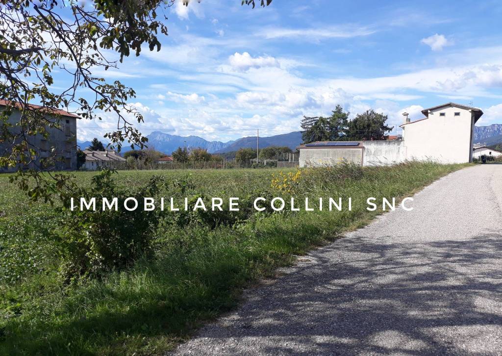 immagine annuncio 4 di 7