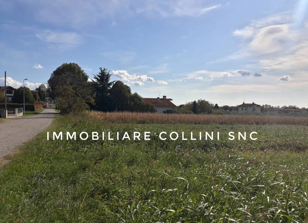 immagine annuncio 5 di 7