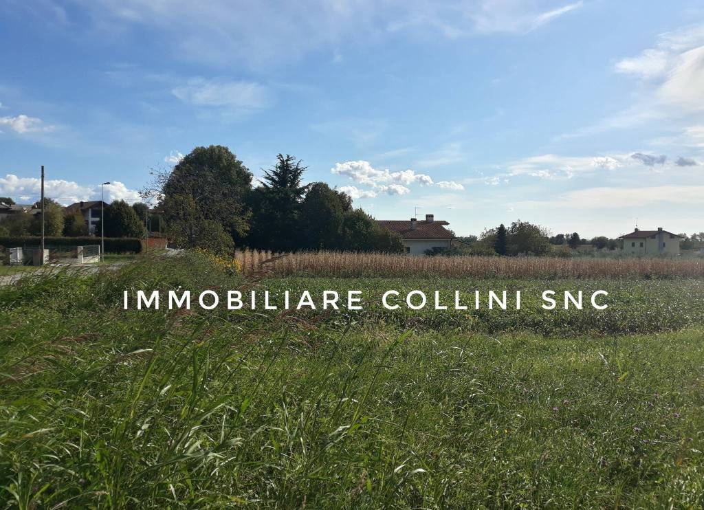 immagine annuncio 6 di 7