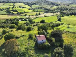 Cascina in vendita a capalbio strada vallerana alta s.n.c.