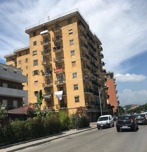 immagine annuncio 2 di 6