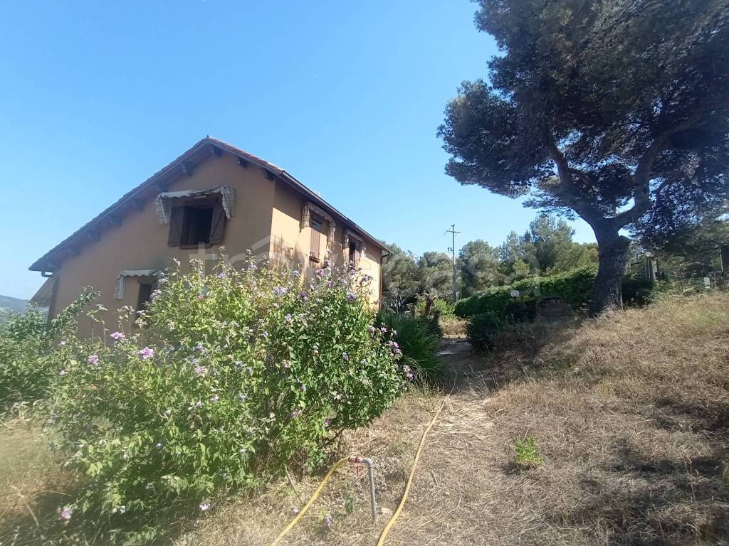 immagine annuncio 2 di 14