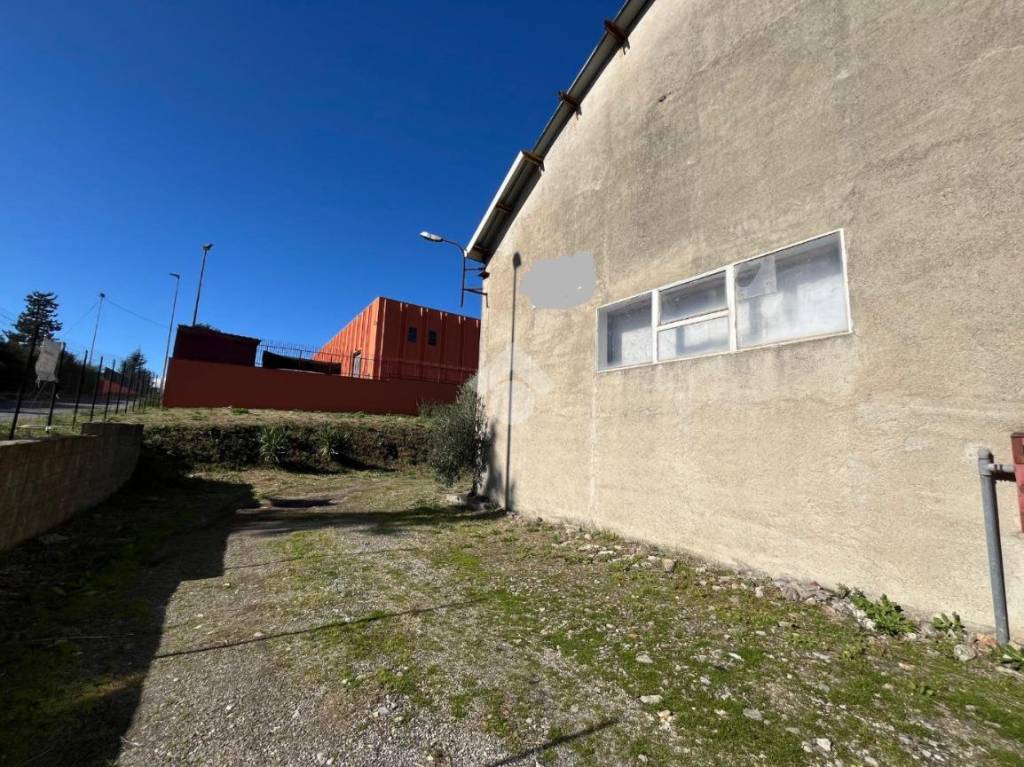 immagine annuncio 1 di 9