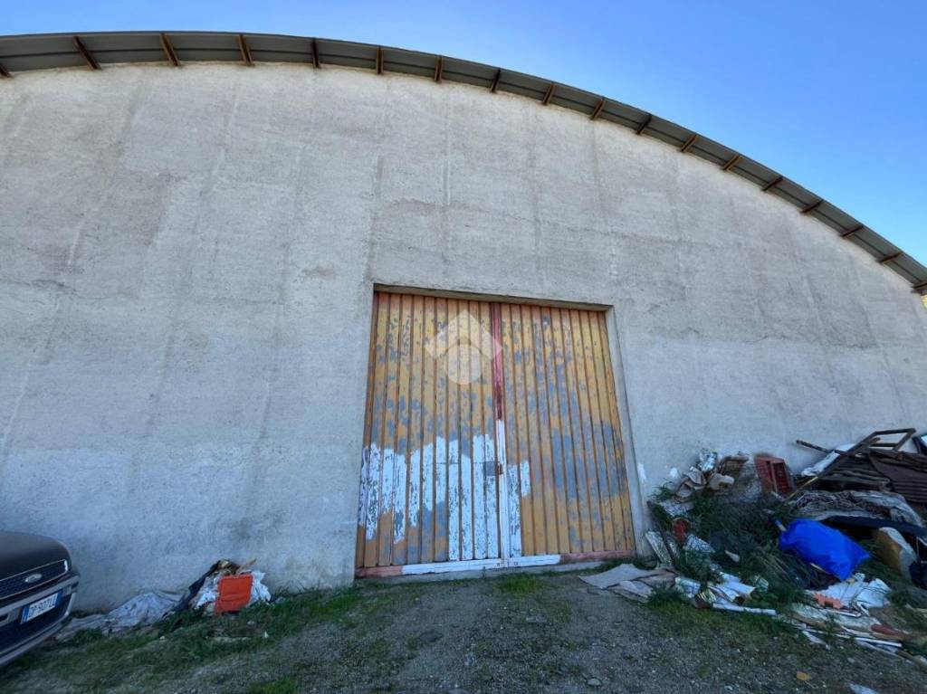 immagine annuncio 2 di 9