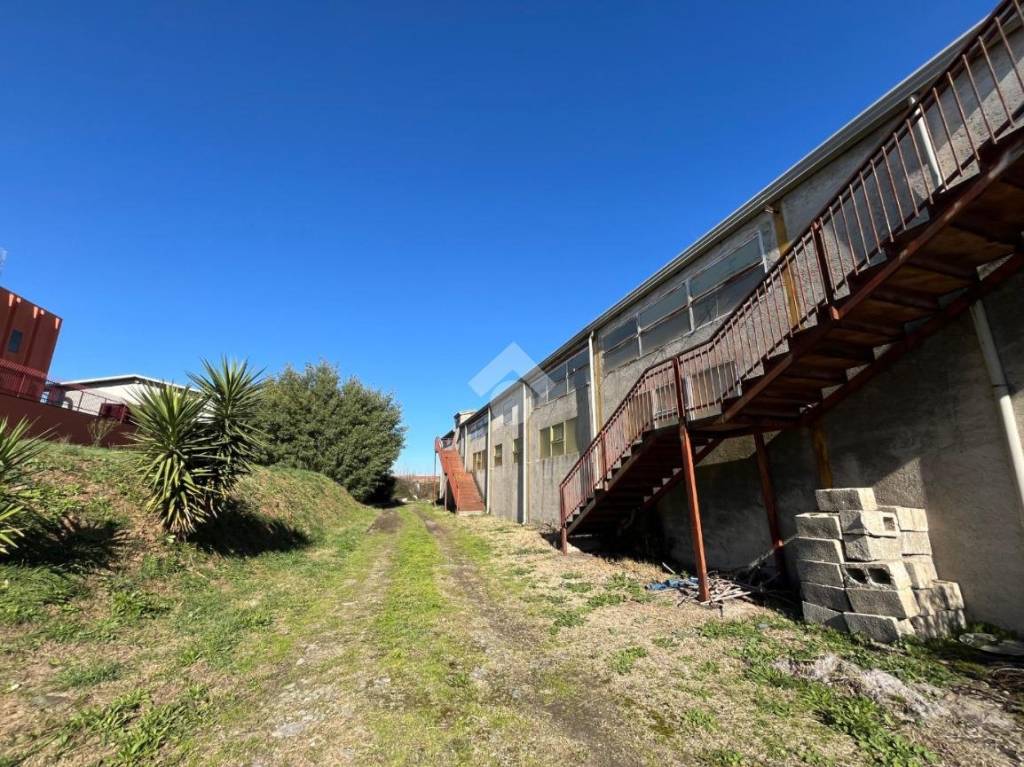 immagine annuncio 3 di 9