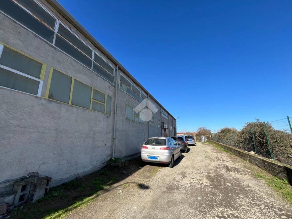 immagine annuncio 6 di 9