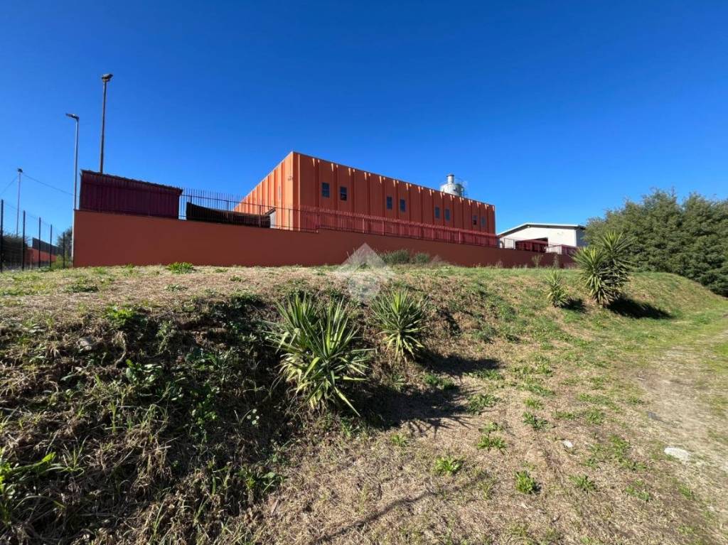 immagine annuncio 7 di 9