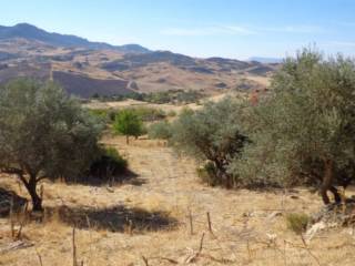 Terreno agricolo in vendita a nicosia villadoro - contrada ficilino