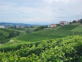 Terreno agricolo in vendita a monforte d'alba via monchiero