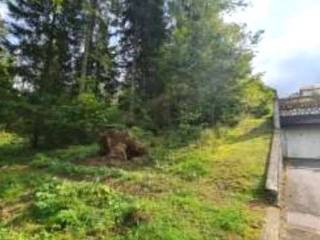 Terreno residenziale in vendita a cibiana di cadore via masariè