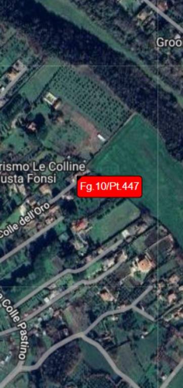 immagine annuncio 6 di 11