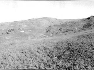 Terreno agricolo in vendita a calascibetta ss290