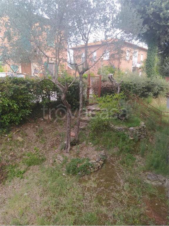 immagine annuncio 7 di 13