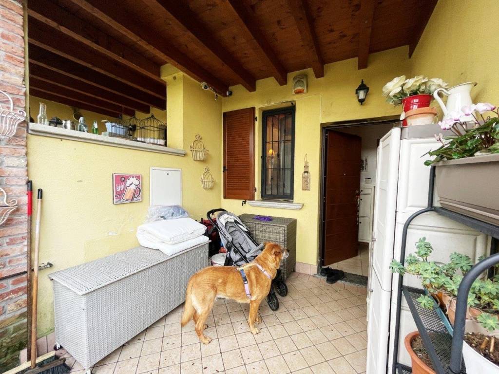 immagine annuncio 9 di 15