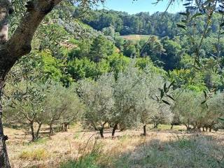 Terreno agricolo in vendita a greve in chianti via chiantigiana