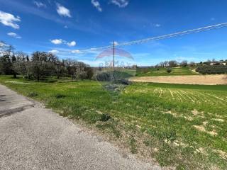 Azienda agricola in vendita ad attigliano località magacina