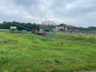 Terreno agricolo in vendita a vanzaghello via mulini, 99