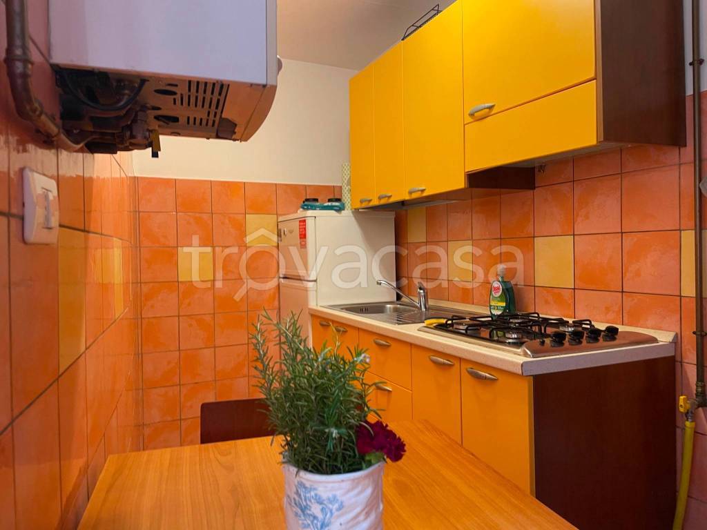 immagine annuncio 2 di 12