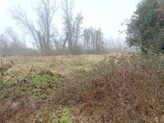 Terreno agricolo in vendita a quinto di treviso via monsignor tognana