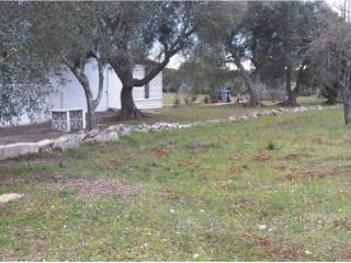 Terreno agricolo in vendita a ostuni contrada donnagnora, 7