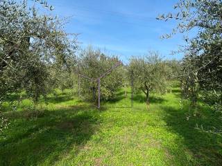 Terreno agricolo in vendita a fiesole 