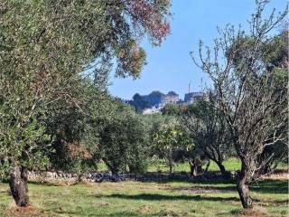 Terreno residenziale in vendita a carovigno 