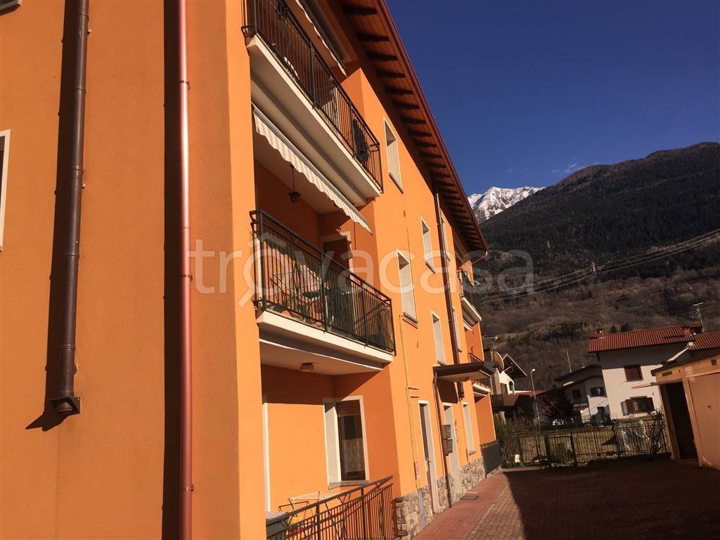 immagine annuncio 3 di 8