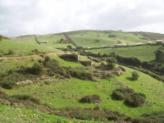 Terreno agricolo in vendita ad aggius sp74