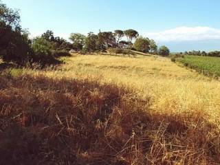 Terreno agricolo in vendita a forlì via delle caminate 77 -75