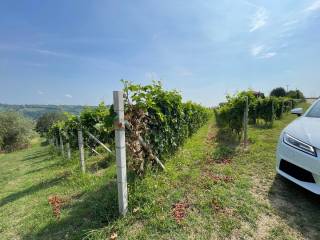 Terreno agricolo in vendita a santo stefano belbo strada san giorgio