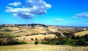 Terreno agricolo in vendita a montegranaro 