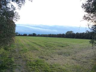 Terreno agricolo in vendita a lamezia terme località risi s.n.c.