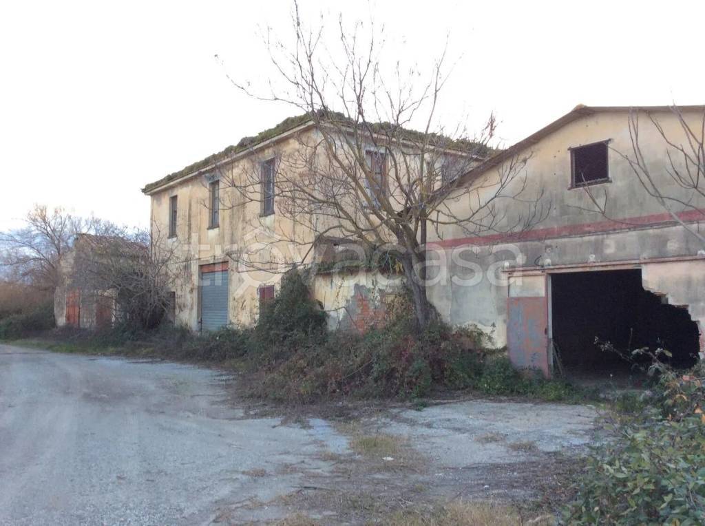 immagine annuncio 1 di 8