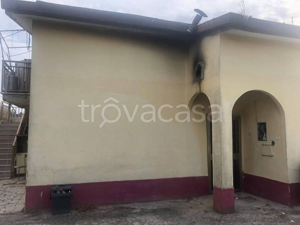 immagine annuncio 2 di 11